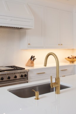 jwh white and brass kitchen faucet