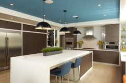 Modern Kitchen, Bold color, Blues, Sleek